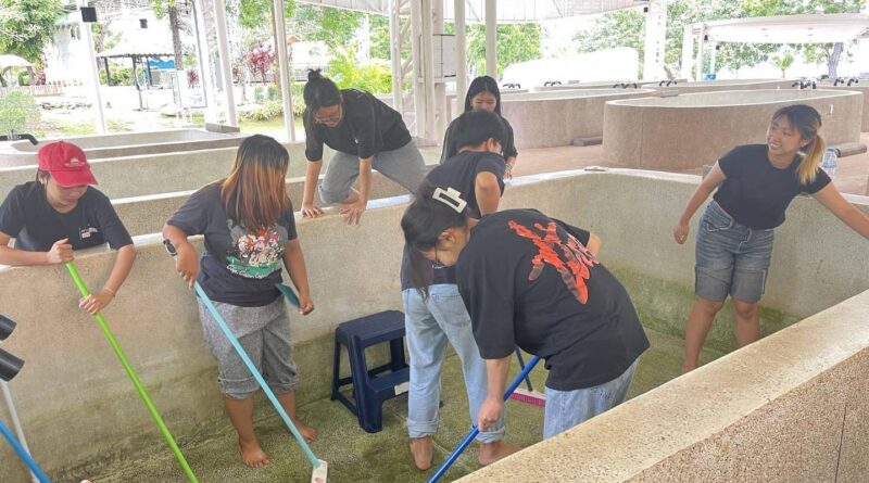 Public area cleaning (religious places).