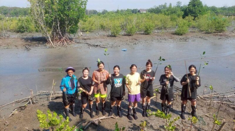 Environmental conservation activities, including mangrove planting.